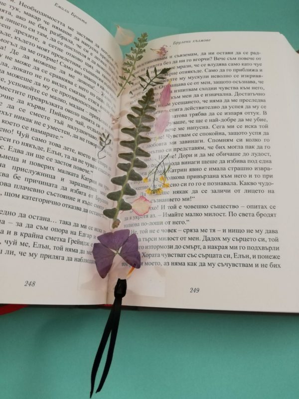 Книгоразделител Wild and Free Ръчна Изработка