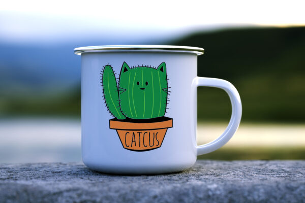 Канче Catcus
