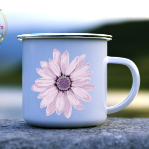 Канче Osteospermum