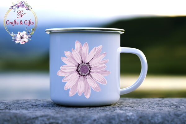 Канче Osteospermum