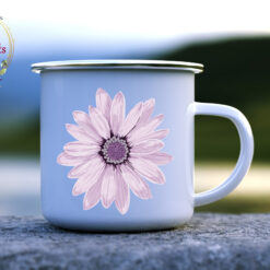 Канче Osteospermum