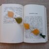 Книгоразделител Birch Naturebound