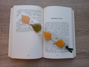 Книгоразделител Birch Naturebound