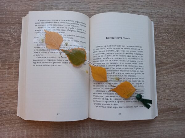 Книгоразделител Birch Naturebound