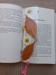 Книгоразделител Camomile Naturebound