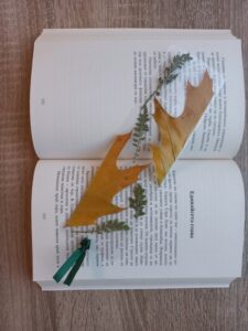 Книгоразделител Oak Naturebound
