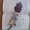 Книгоразделител Alnus Incana Naturebound