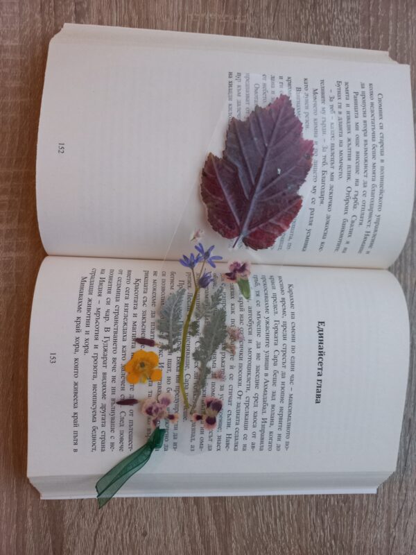 Книгоразделител Alnus Incana Naturebound