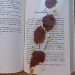Книгоразделител Red & White Naturebound