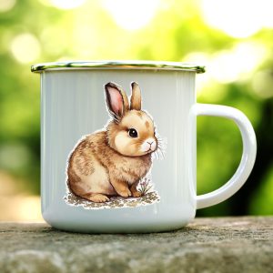 Канче Зайо Дългоухи