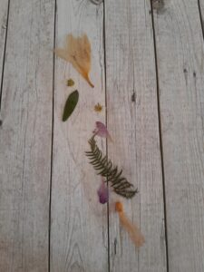 Книгоразделител фрезия Naturebound