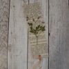 Книгоразделител История в зелено Naturebound