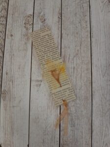 Книгоразделирел Бяла история Naturebound