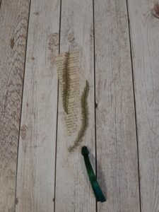 Книгоразделител Горски спомен Naturebound